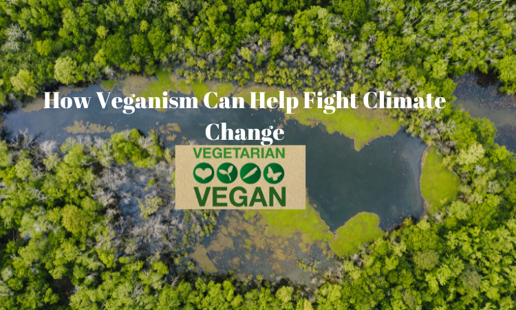 Veganism and climate change