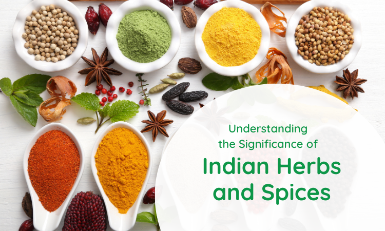 Importance of spices in Indian Cuisine