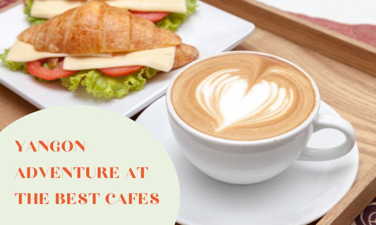 Adventure at the Best Cafes